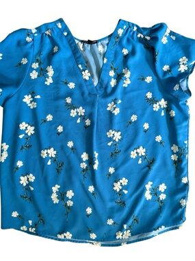 Hilary Radley V-Neck Blouse Women's XL Blue & White Floral Career Office EUC
